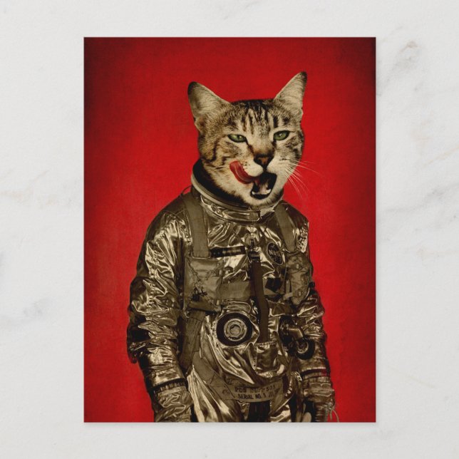 space tastes good postcard (Front)