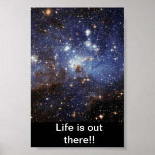 Space the final frontier poster