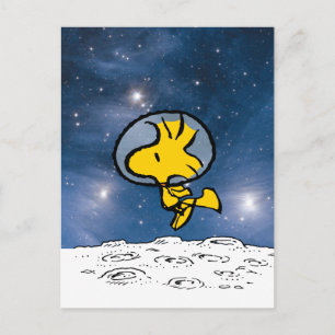 SPACE Woodstock Astronaut Postcard