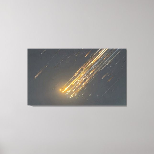 SpaceX's Amazing Downfall - Iconic Canvas Art" (Front)