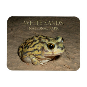 Spadefoot Toad, White Sands National Park Magnet