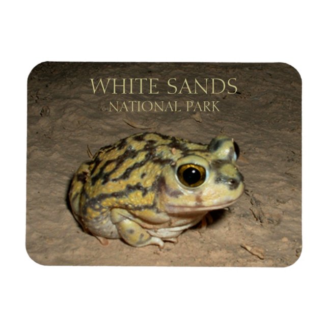 Spadefoot Toad, White Sands National Park Magnet (Horizontal)