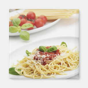 Spaghetti with tomato sauce and basil magnet