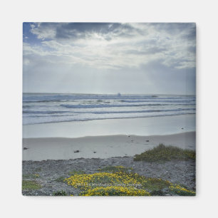 Spain Coastline with Yellow Flowers and Sun Beams Magnet