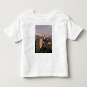 Spain, Granada, Andalucia The Alhambra, 2 Toddler T-Shirt