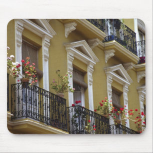 Spain, Sevilla, Andalucia Geraniums hang over Mouse Pad