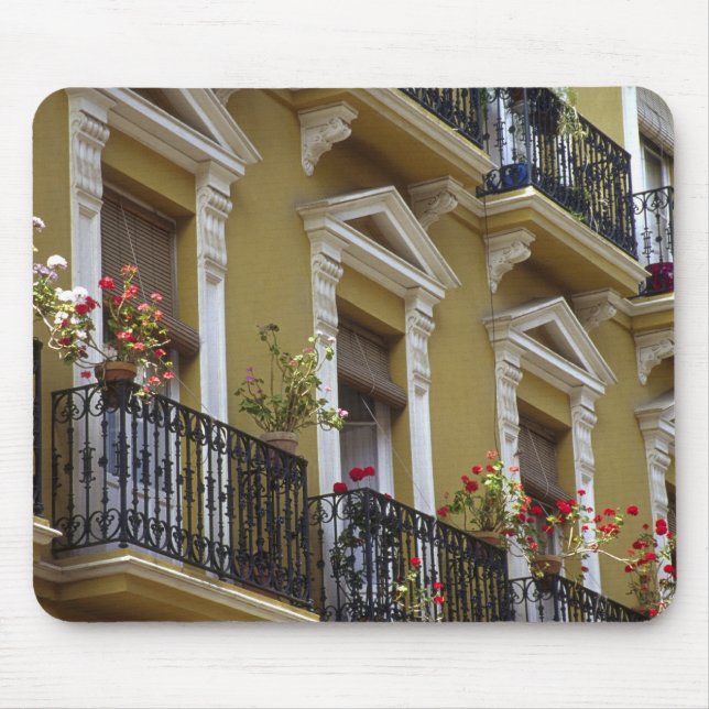 Spain, Sevilla, Andalucia Geraniums hang over Mouse Pad (Front)