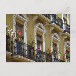 Spain, Sevilla, Andalucia Geraniums hang over Postcard