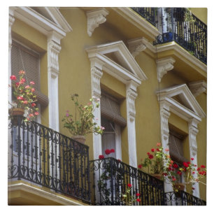 Spain, Sevilla, Andalucia Geraniums hang over Tile