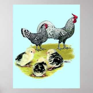 Spangled Hamburg Family Poster