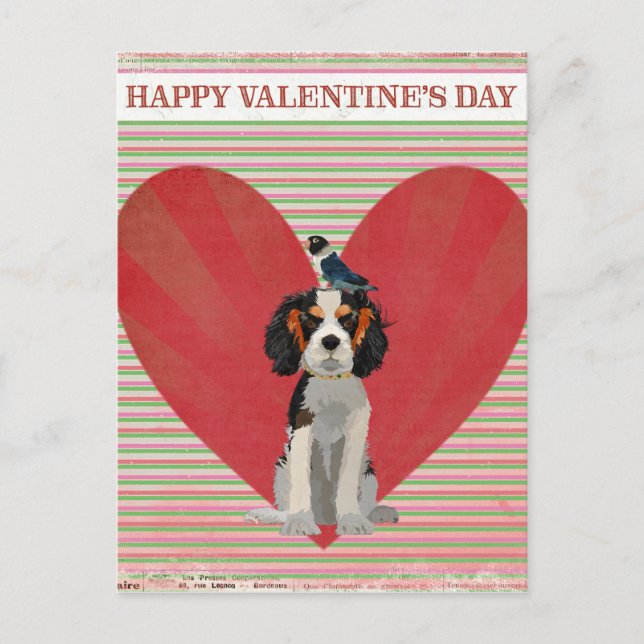 SPANIEL & BIRD VALENTINE'S Postcard (Front)