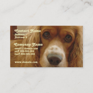 Spaniel Breed Business Card