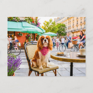 Spaniel city outing at outdoor café postcard