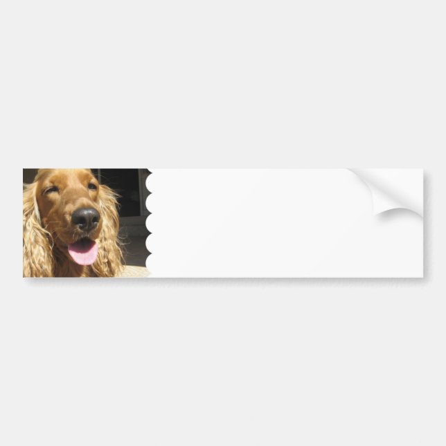 Spaniel Dog Bumper Sticker (Front)
