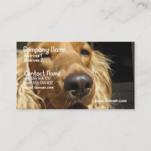 Spaniel Dog Business Card