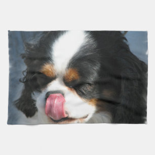 Spaniel Dog Kitchen Towel