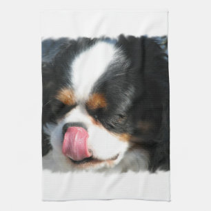 Spaniel Dog Kitchen Towel