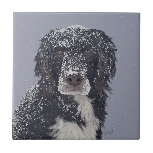 Spaniel dog mix pet portrait  tile (Front)