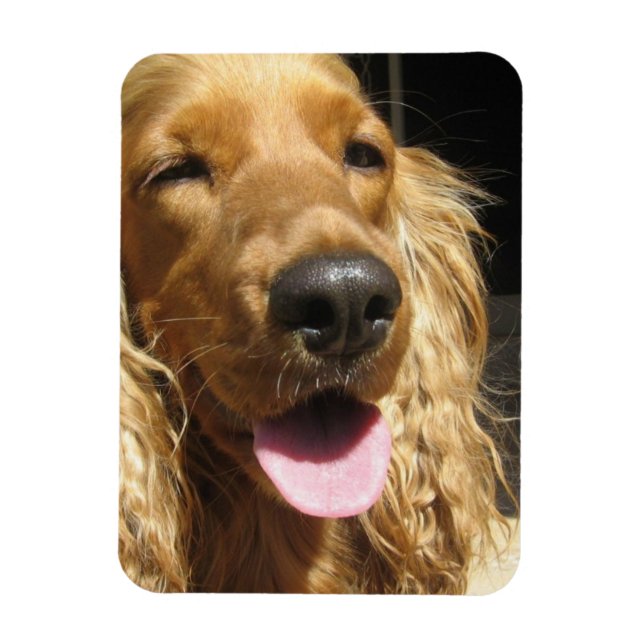 Spaniel Dog  Premium Magnet (Vertical)
