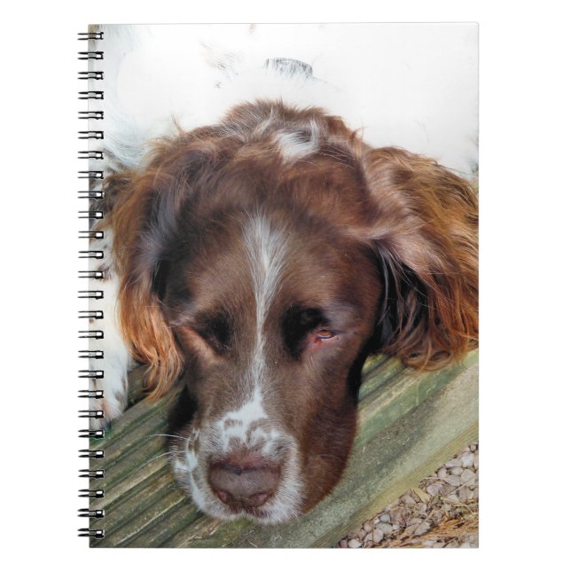 SPANIEL DOG SPIRAL NOTEBOOK (Front)