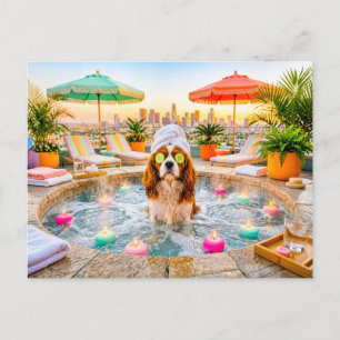 Spaniel in wellness pool postcard