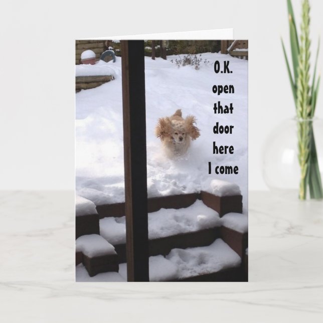 SPANIEL IS READY TO SAY ***HAPPY BIRTHDAY*** CARD (Front)