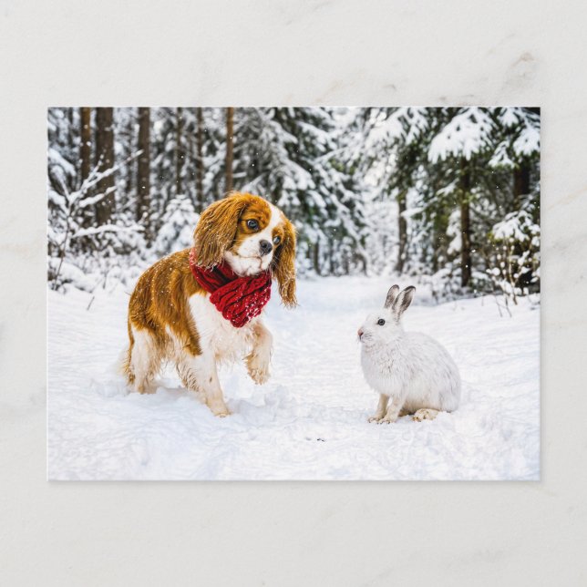 Spaniel meets snow hare in winter forest postcard (Front)
