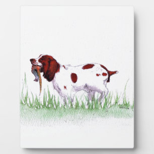 Spaniel Plaque