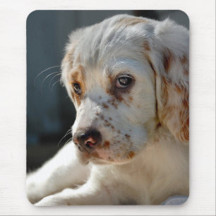 Spaniel Puppy Dog Mouse Pad