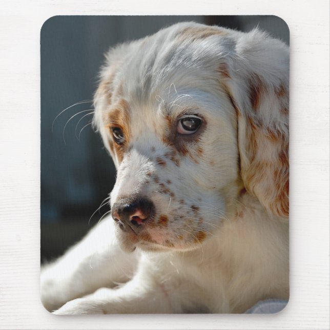 Spaniel Puppy Dog Mouse Pad (Front)