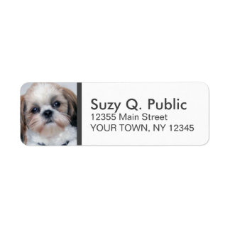 Spaniel Shih Tzu Address Label