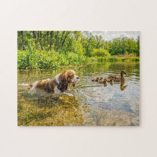 Spaniel swimming beside duck family lake jigsaw puzzle