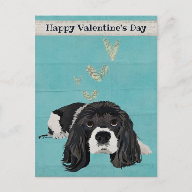 SPANIEL VALENTINE'S Postcard (Front)