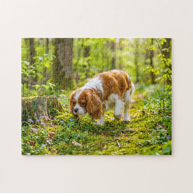 Spaniel walking through bright spring forest jigsaw puzzle (Horizontal)