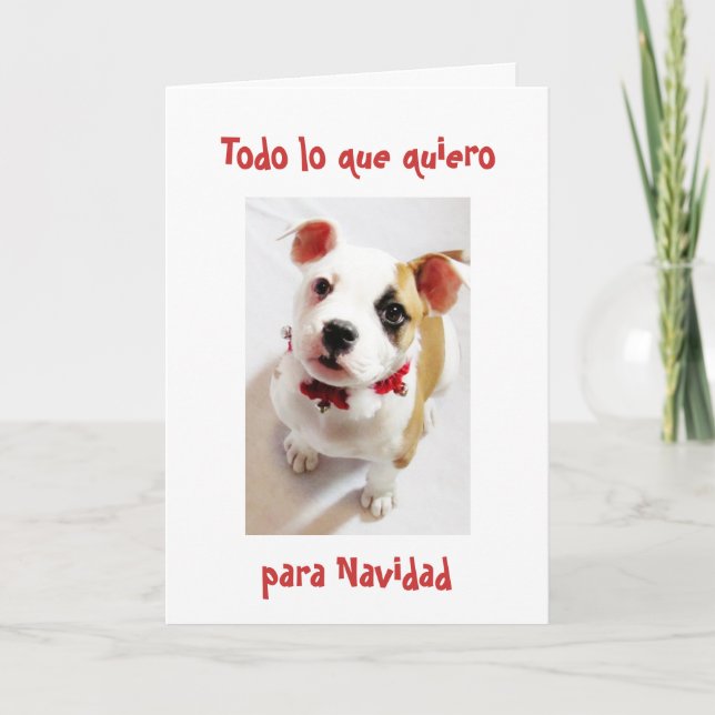 Spanish : All I want for Christmas...is you Holiday Card (Front)