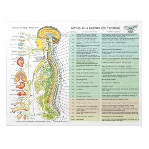 Spanish ANS Subluxation Effects Tear Off Pad