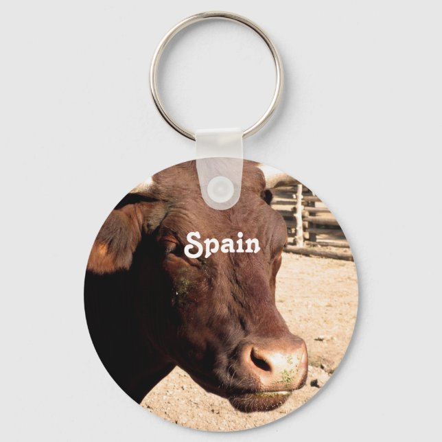 Spanish Bull Key Ring (Front)