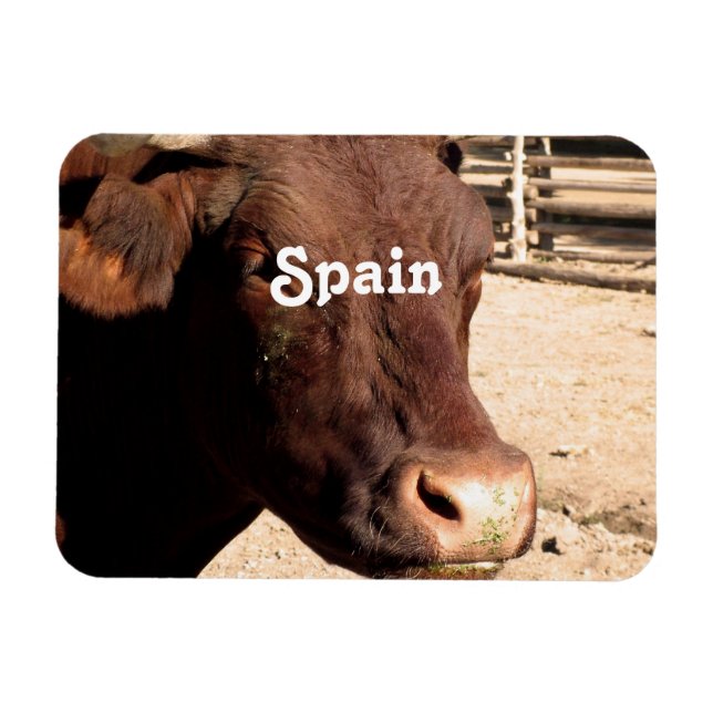 Spanish Bull Magnet (Horizontal)