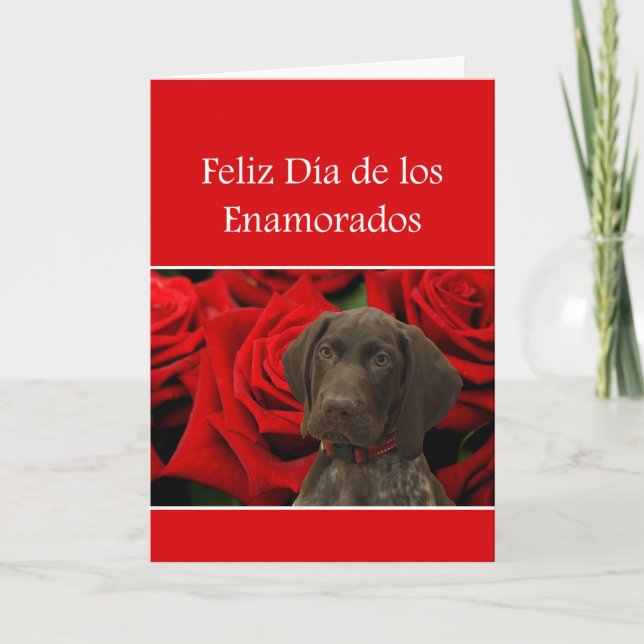 Spanish Día Enamorados Glossy Grizzly Valentine Holiday Card (Front)
