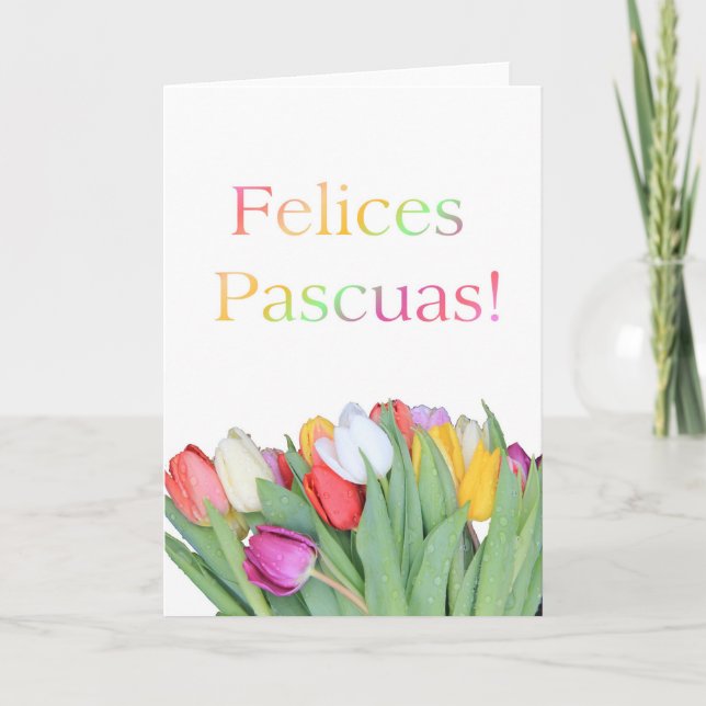 Spanish Easter card - Felices Pascuas - tulip bouq (Front)