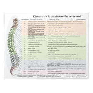 Spanish Effects of Spinal Subluxation Tear Off Not Notepad