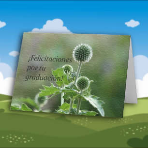 Spanish Graduation Felicitaciones Card