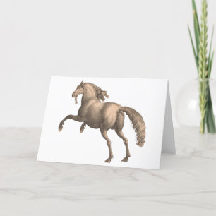 Spanish Horse - Greeting Card
