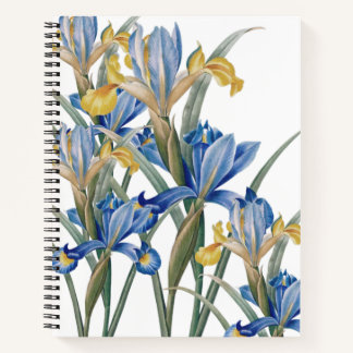 Spanish iris by Pierre-Joseph Redouté Notebook
