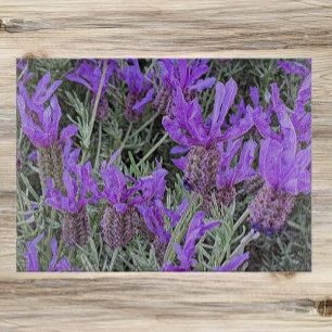 Spanish Lavender Blooms Floral Cutting Board