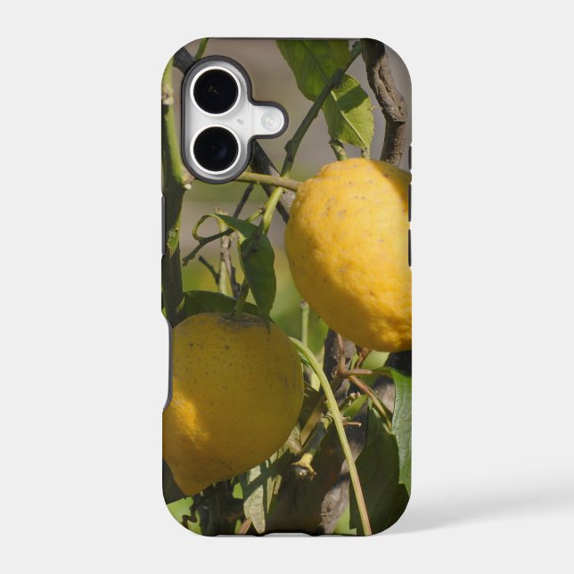 Spanish Lemon Graphics (Back)