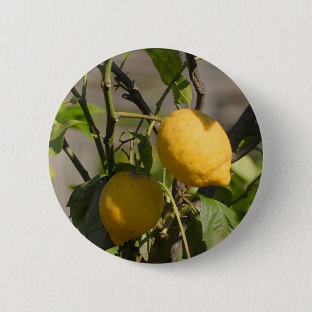 Spanish Lemon Graphics 6 Cm Round Badge (Front)