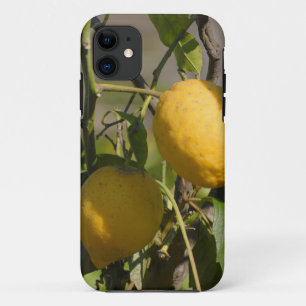Spanish Lemon Graphics Case-Mate iPhone Case