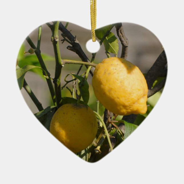 Spanish Lemon Graphics Ceramic Tree Decoration (Front)