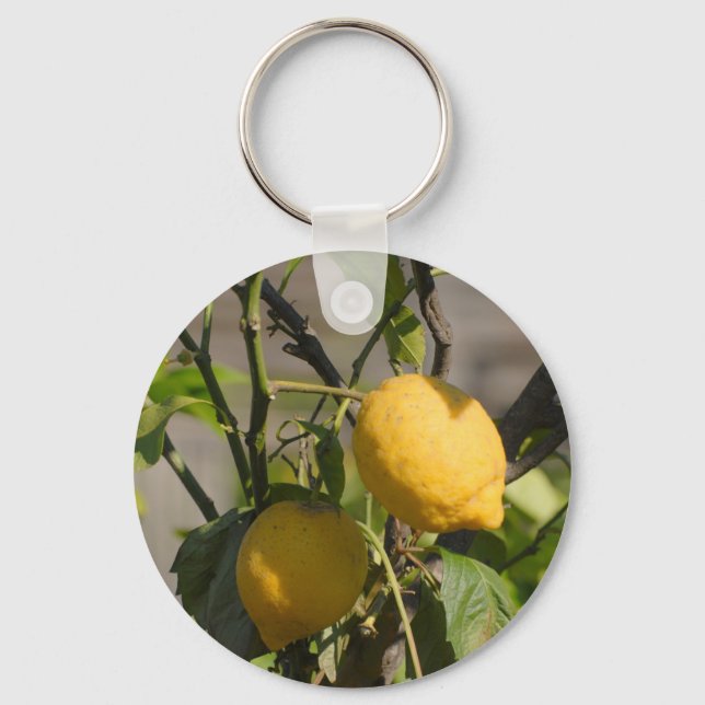 Spanish Lemon Graphics Key Ring (Front)